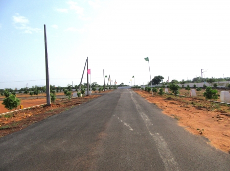 3) Li Id : 150 - Pic : 4.JPG
